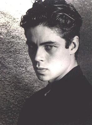 Benicio Del Toro